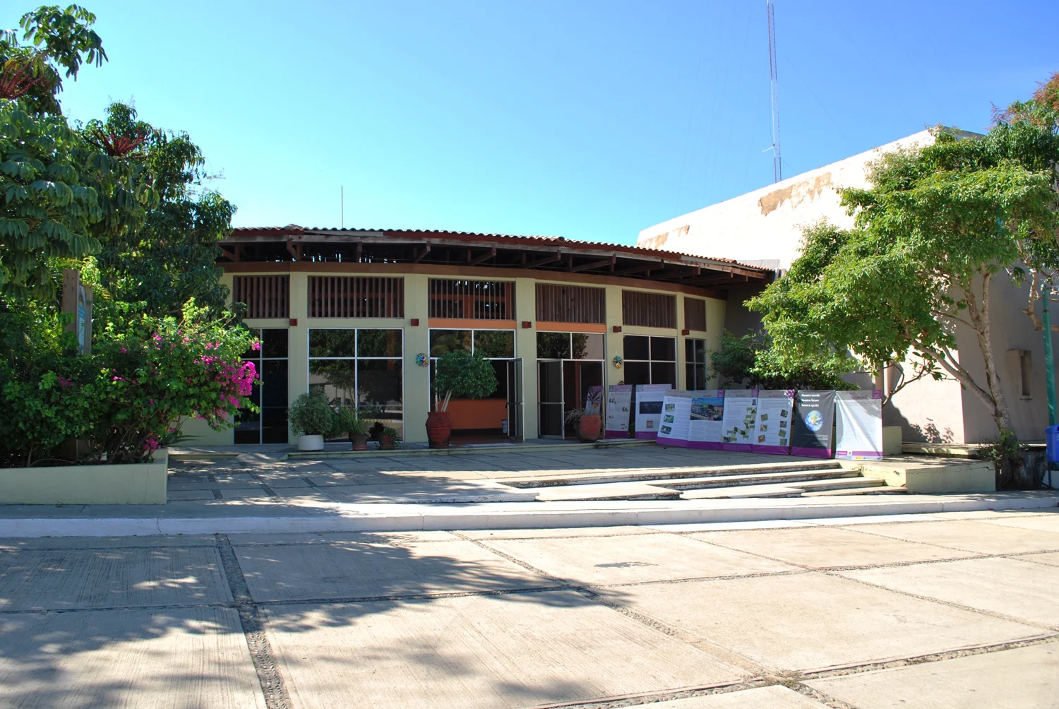 Centro Mexicano de la Tortuga · archivo, 2009
